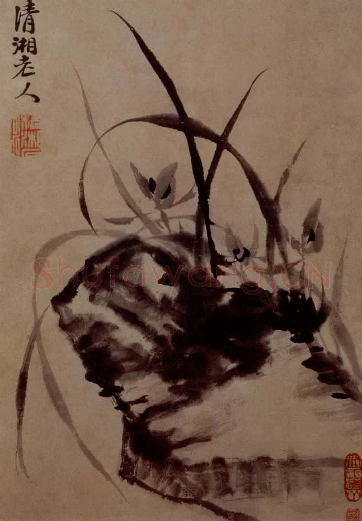 明末清初 石涛 花卉图册 书画作品