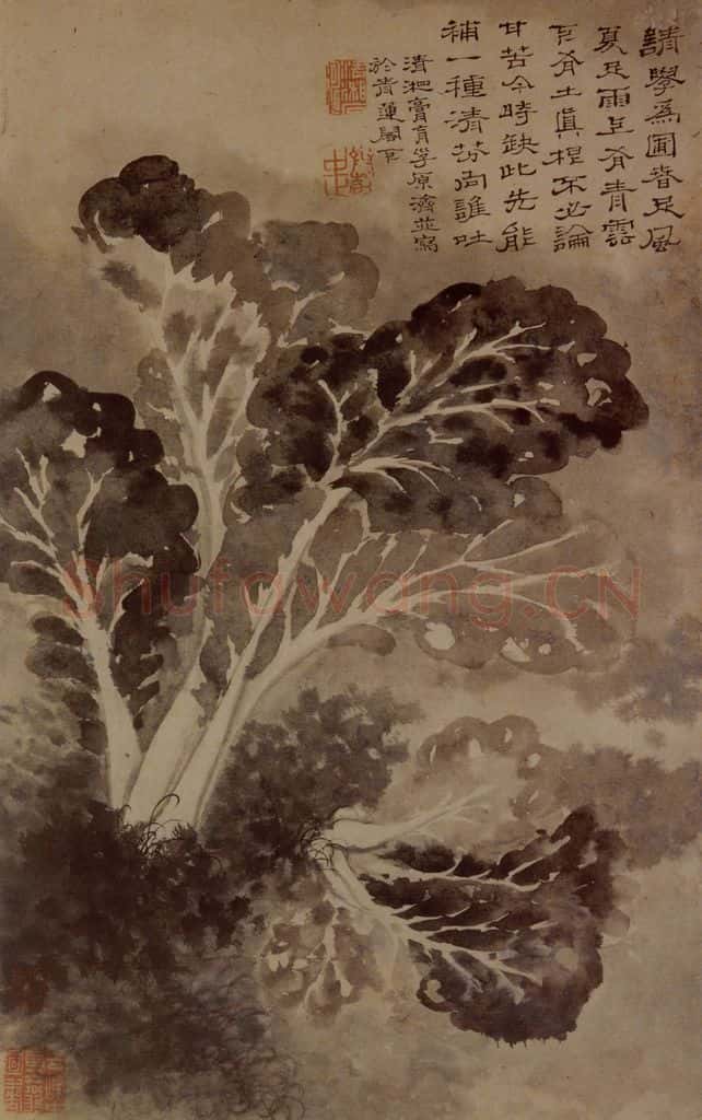 明末清初 石涛 山水花卉8开 书画作品