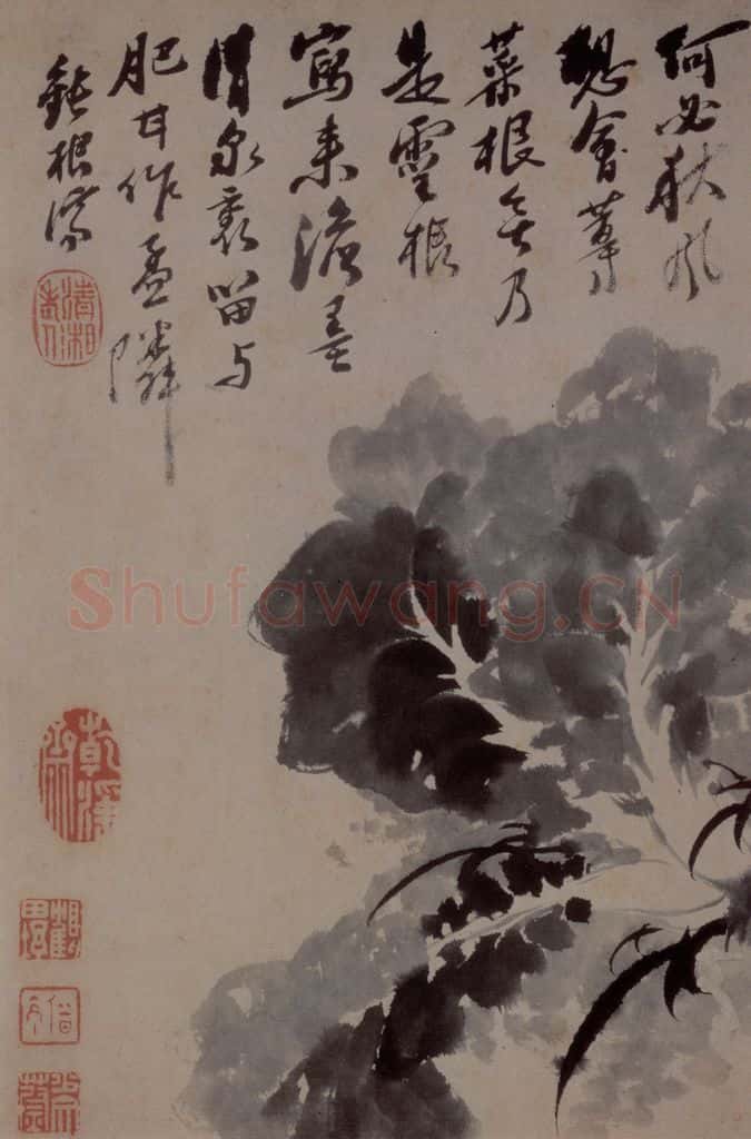 1694年 石涛《花卉12开》书画作品