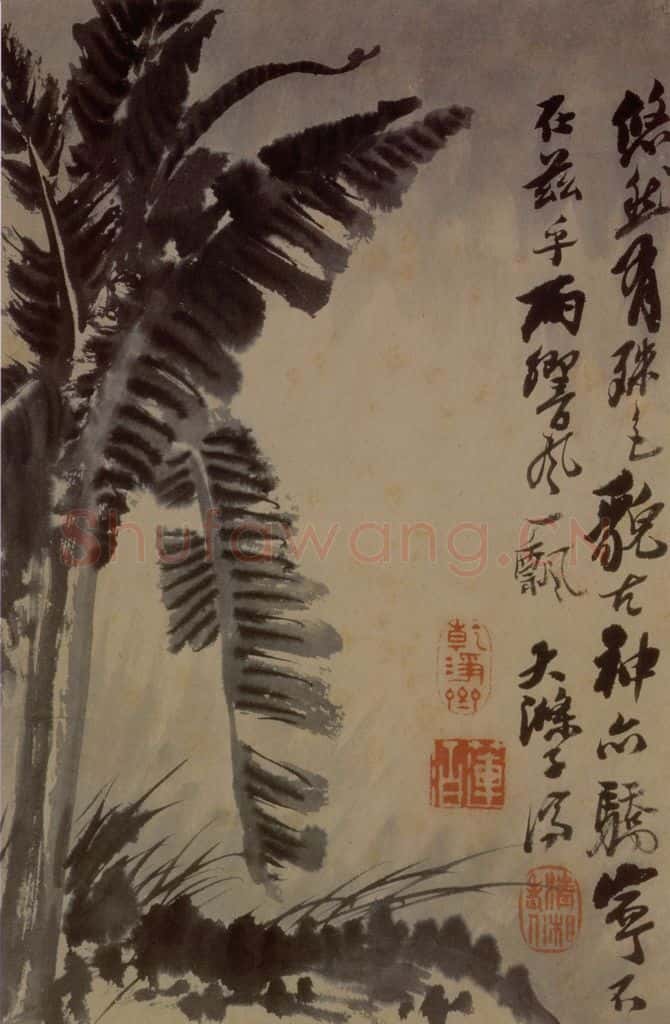 1694年 石涛《花卉12开》书画作品