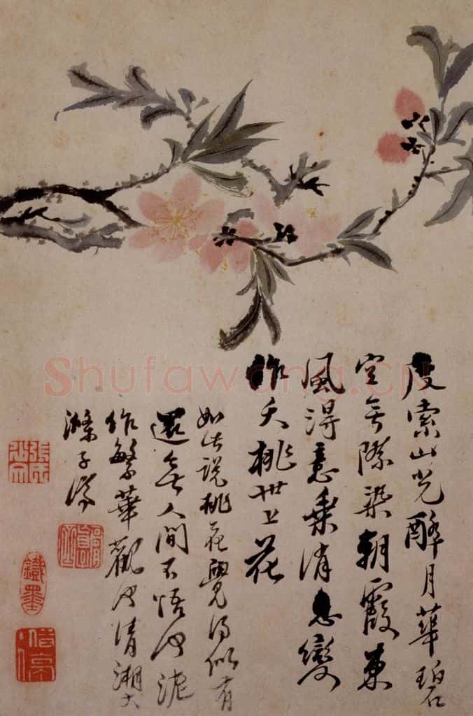 1694年 石涛《花卉12开》书画作品