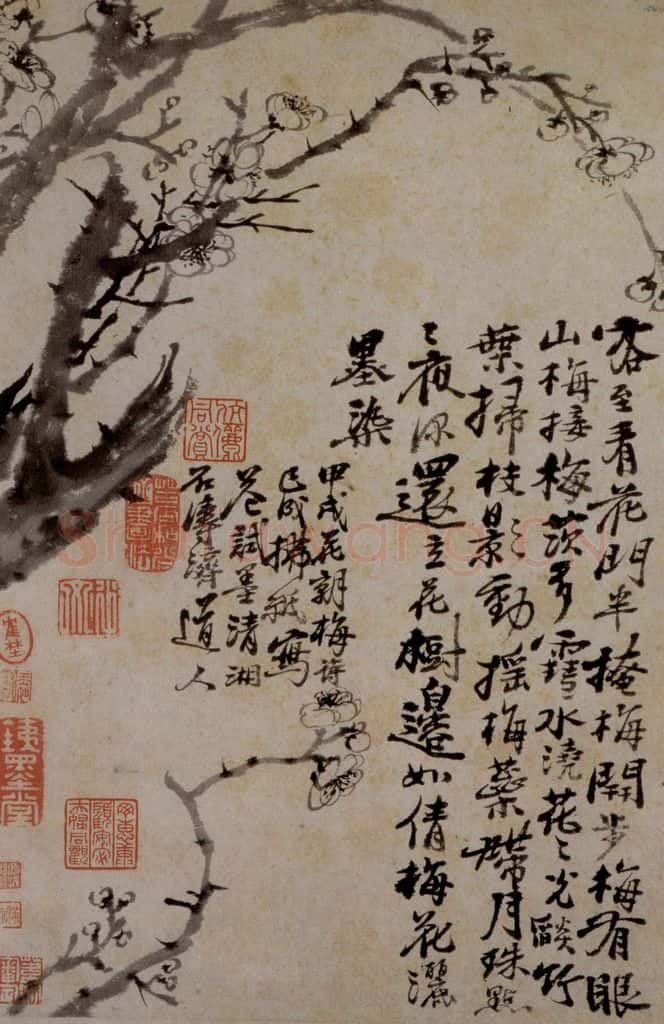 1694年 石涛《花卉12开》书画作品
