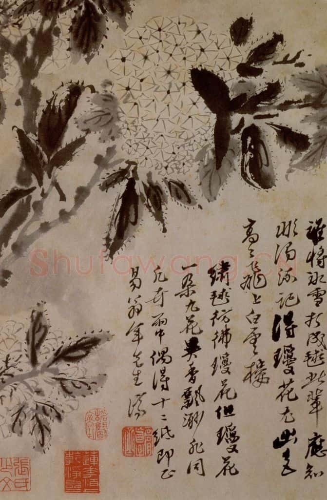 1694年 石涛《花卉12开》书画作品