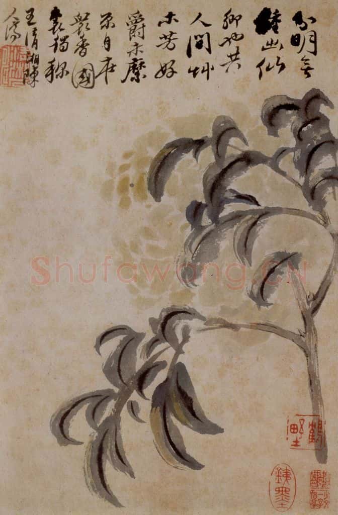 1694年 石涛《花卉12开》书画作品