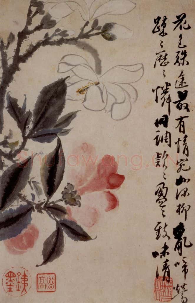 1694年 石涛《花卉12开》书画作品