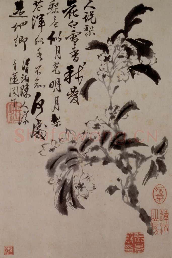 1694年 石涛《花卉12开》书画作品