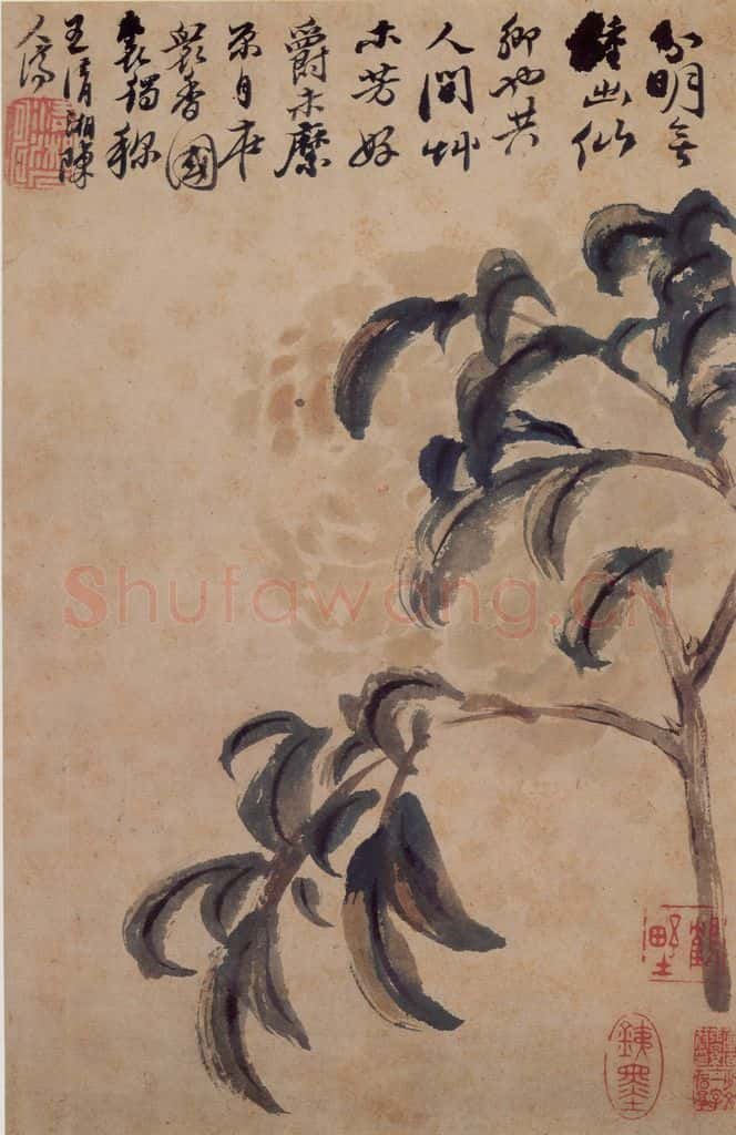 清 石涛《花卉册》书画作品