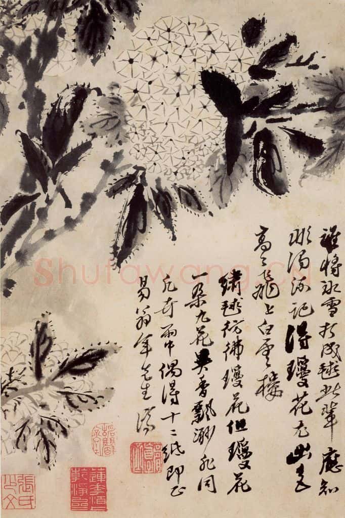 清 石涛《花卉册》书画作品