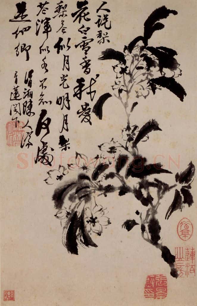清 石涛《花卉册》书画作品