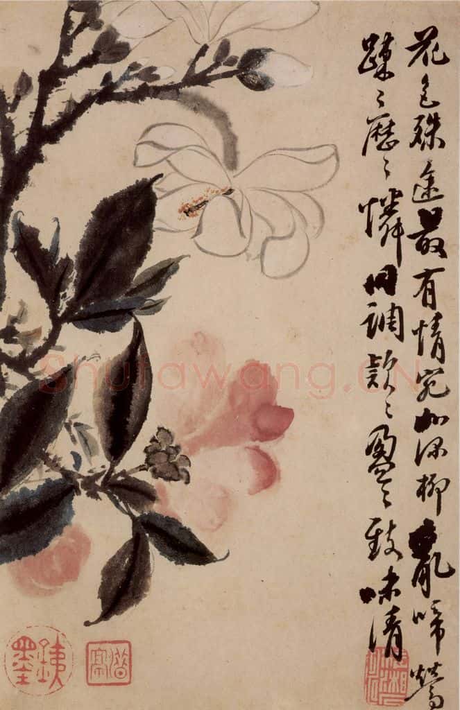 清 石涛《花卉册》书画作品