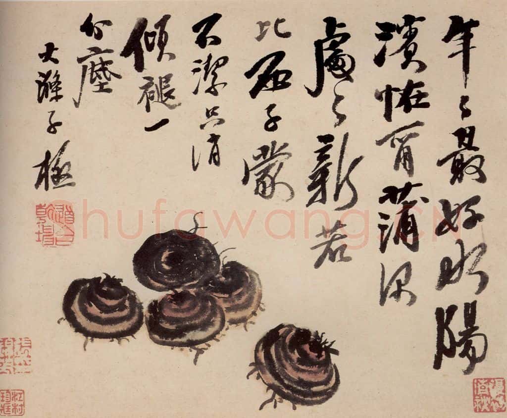 清 石涛《蔬果册》书画作品