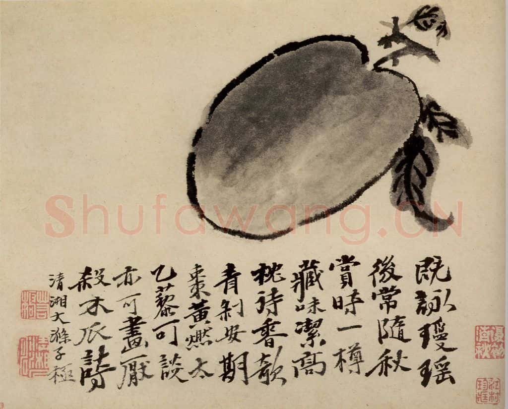 清 石涛《蔬果册》书画作品
