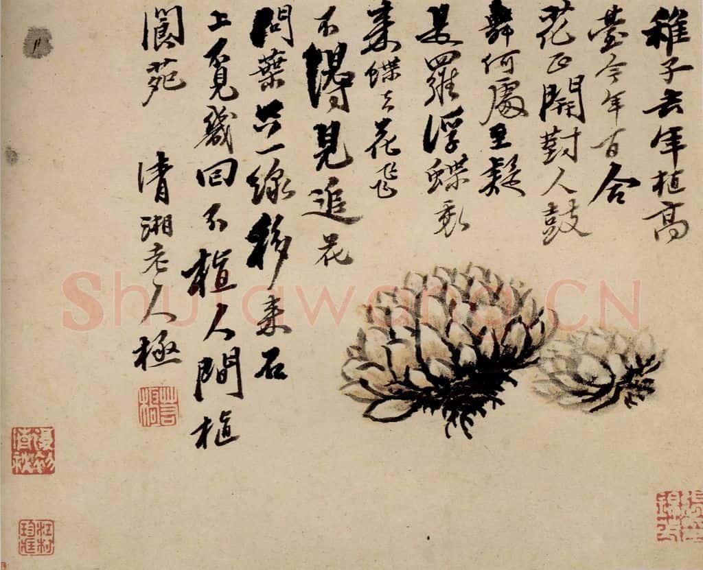 清 石涛《蔬果册》书画作品