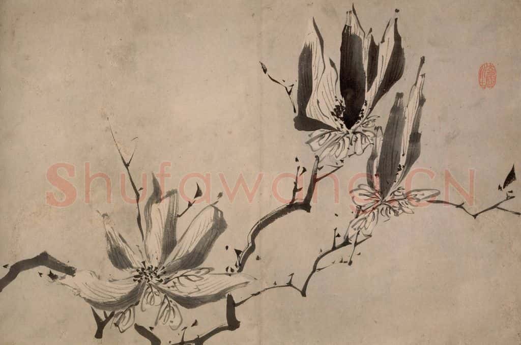 清 朱耷《墨花册》书画作品