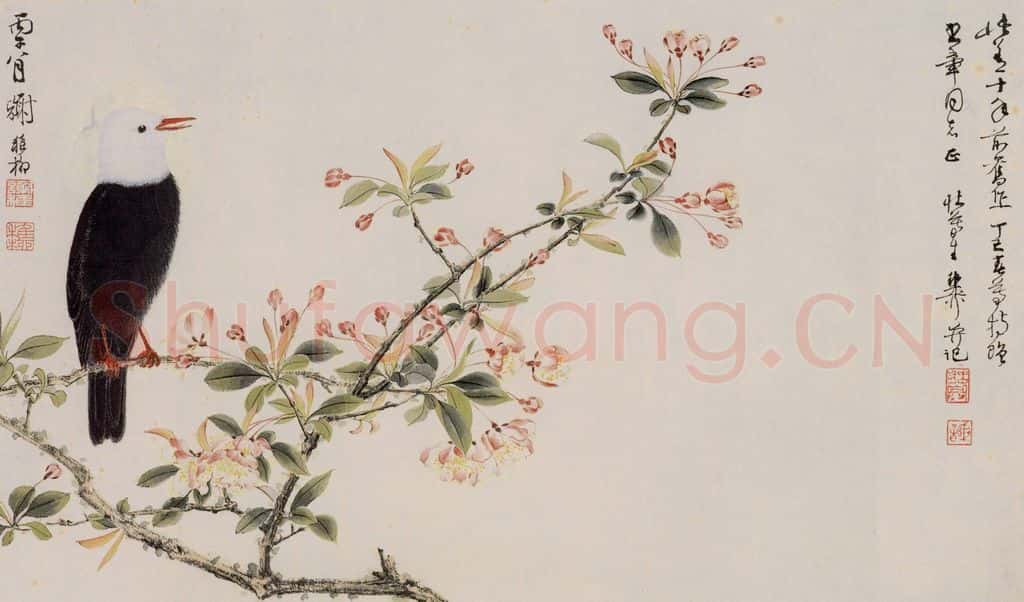 1966年 谢稚柳 海棠白头图 书画作品