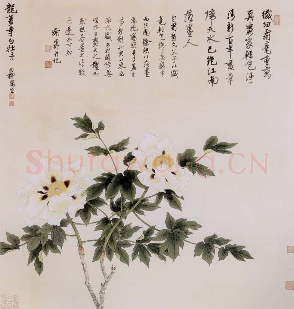 1959年 谢稚柳《龙华寺白牡丹图》书画作品