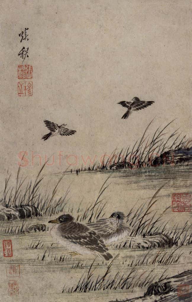 清 张穆《翎毛珍兽图册》书画作品