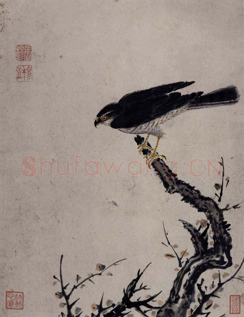 清 张穆《禽鸟骏马图册》书画作品