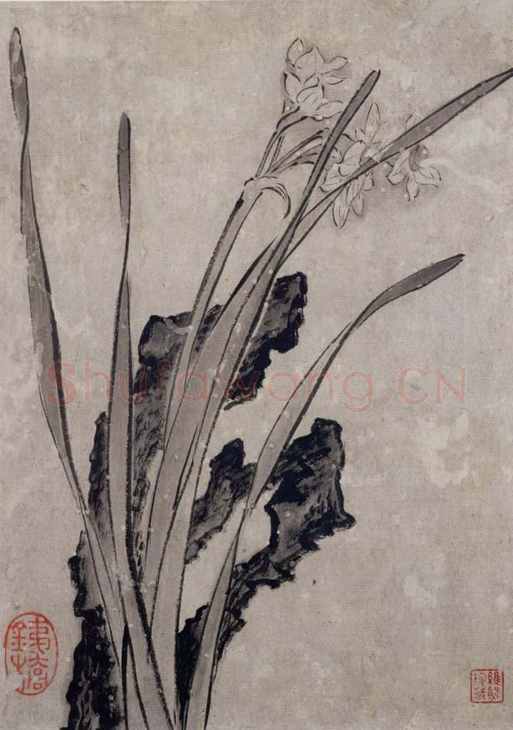 清 张穆《珍兽花卉图册》书画作品