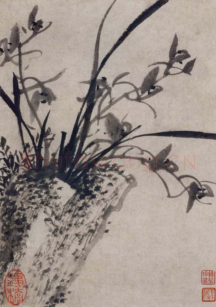 清 张穆《珍兽花卉图册》书画作品