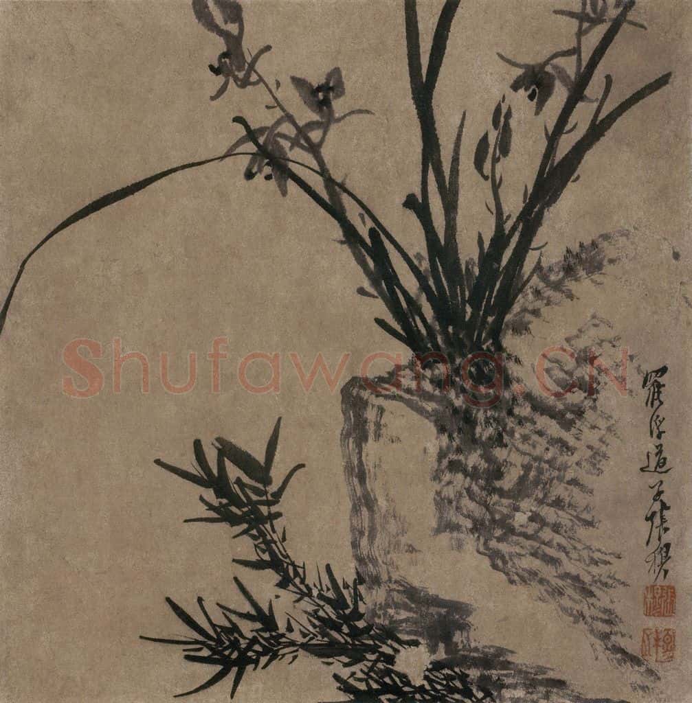清 张穆《籣竹文石图册》书画作品