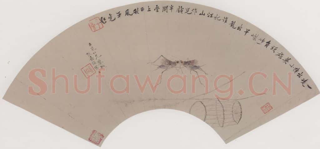清 张嘉谟《斗蟋图扇面》书画作品