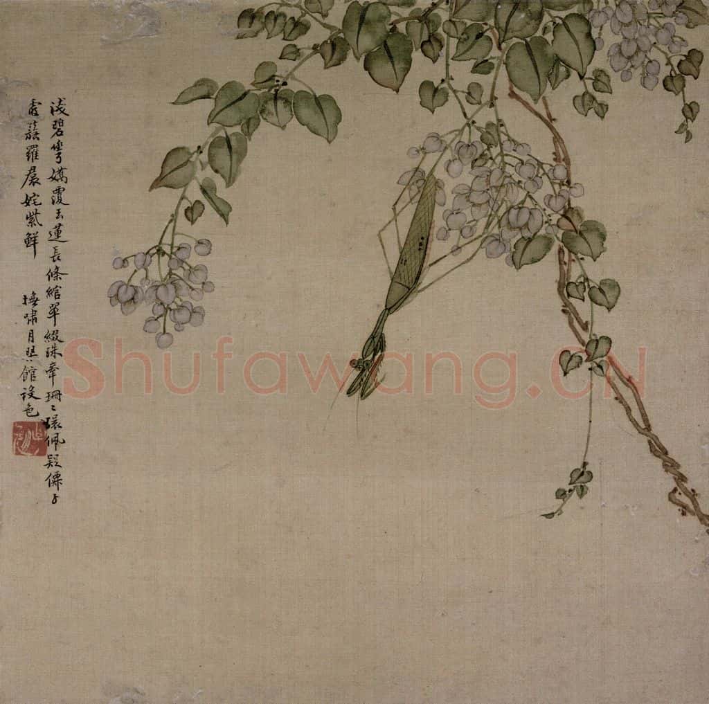 清 张崇光《花卉草丛图册》书画作品