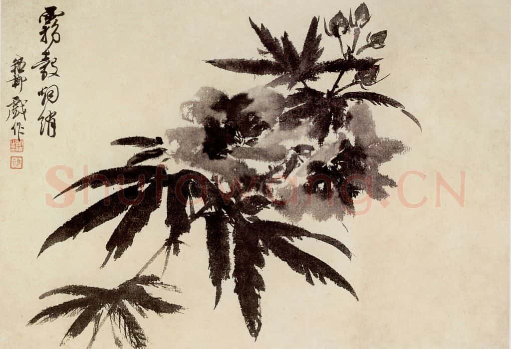 谢稚柳 水墨花卉 书画作品