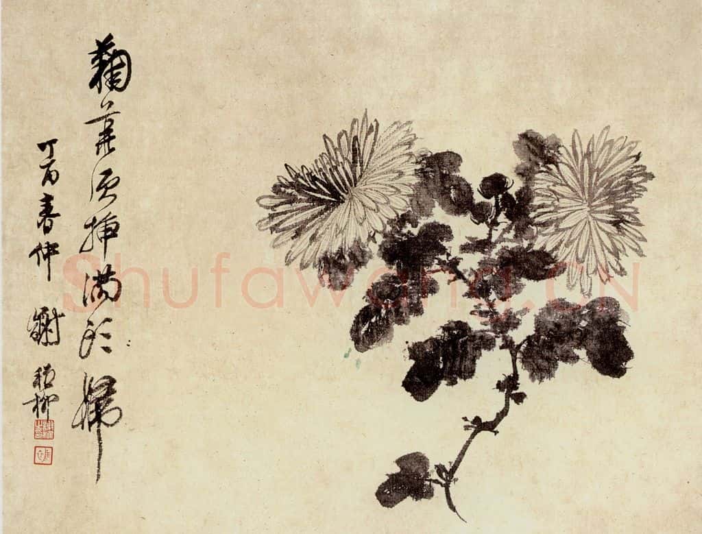 谢稚柳 水墨花卉 书画作品