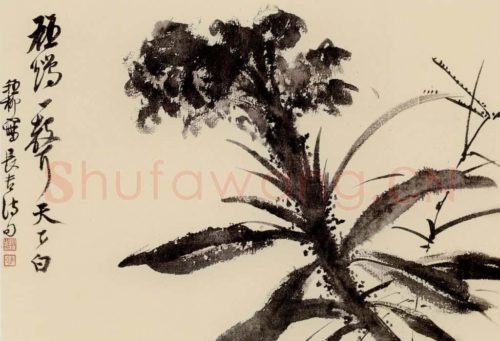 谢稚柳 水墨花卉 书画作品