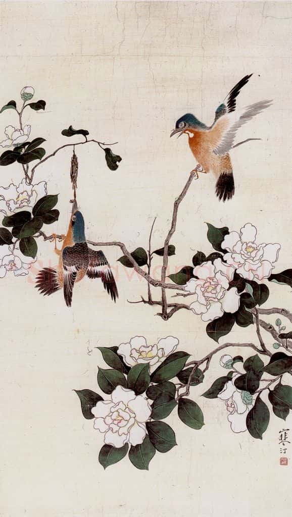 江寒汀 茶花双禽 书画作品