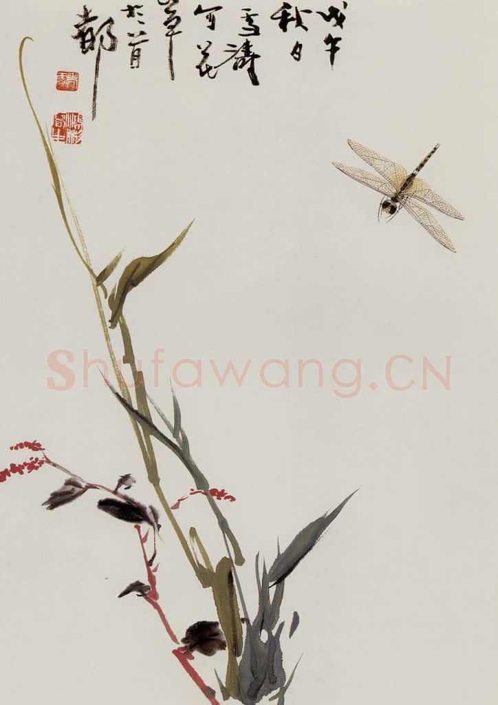 许鸿宾《红蓼蜻蜓》书画作品