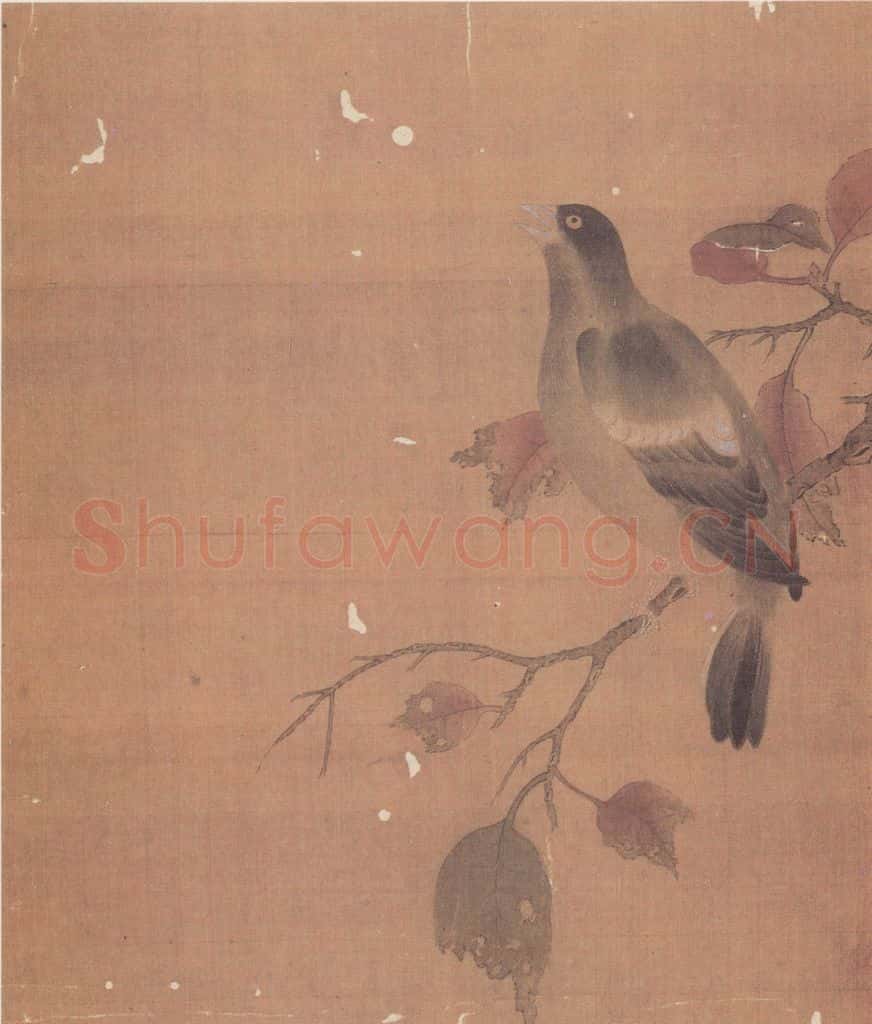 宋 无款 花鸟草虫册 书画作品