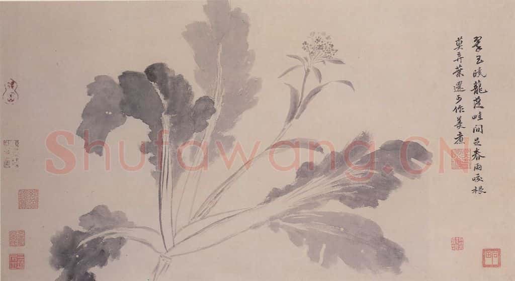 明 沈周 观物之生图册(十二帧) 书画作品