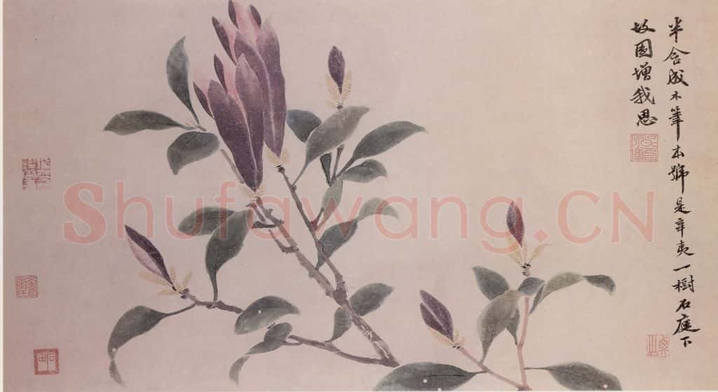 明 沈周 观物之生图册 书画作品