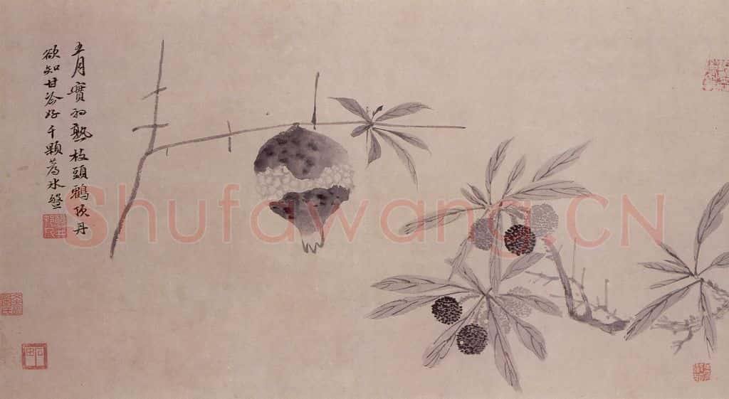 明 沈周 观物之生图册 书画作品