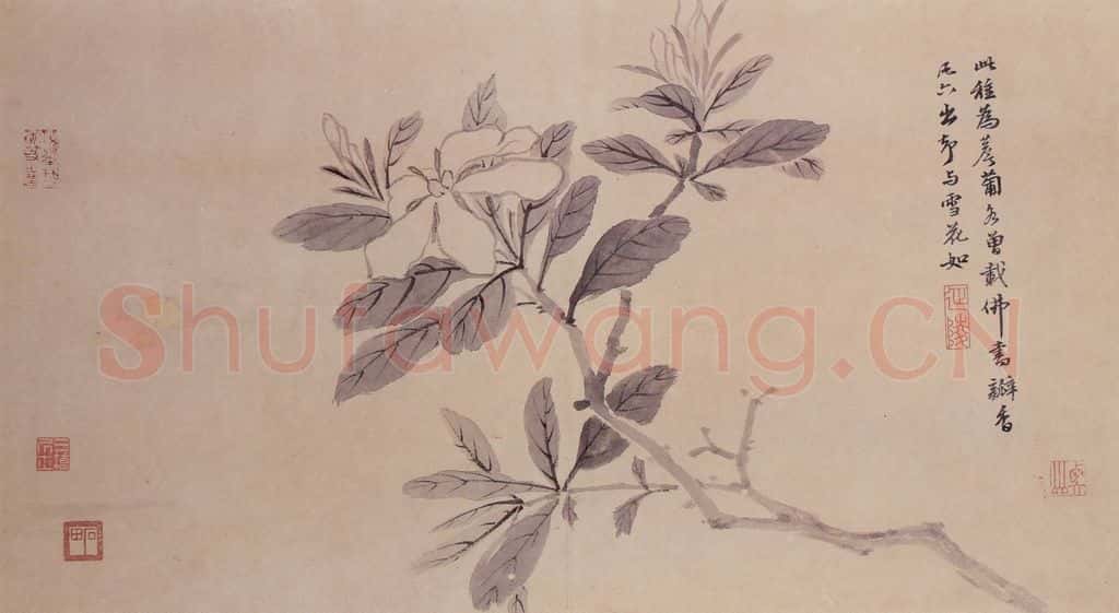 明 沈周 观物之生图册 书画作品