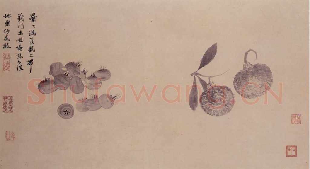 明 沈周 观物之生图册 书画作品