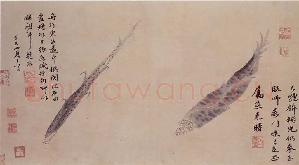 明 沈周 观物之生图册 书画作品