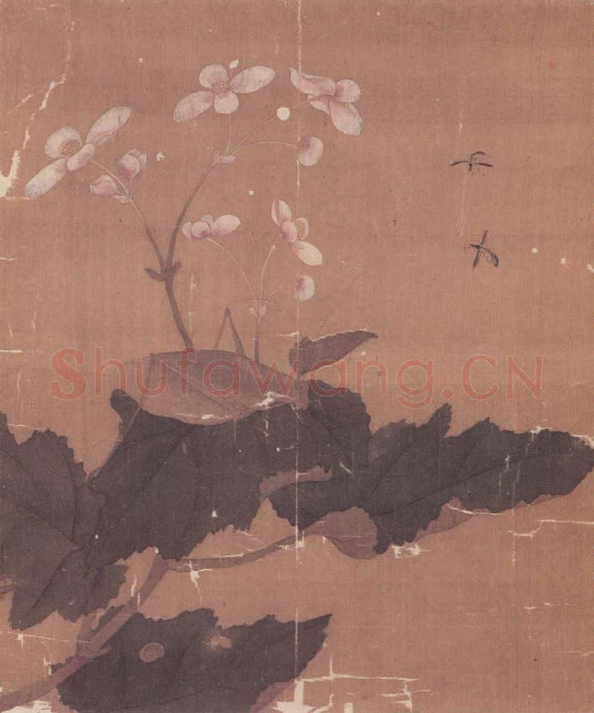 宋 无款 花鸟草虫册(十二帧) 书画作品
