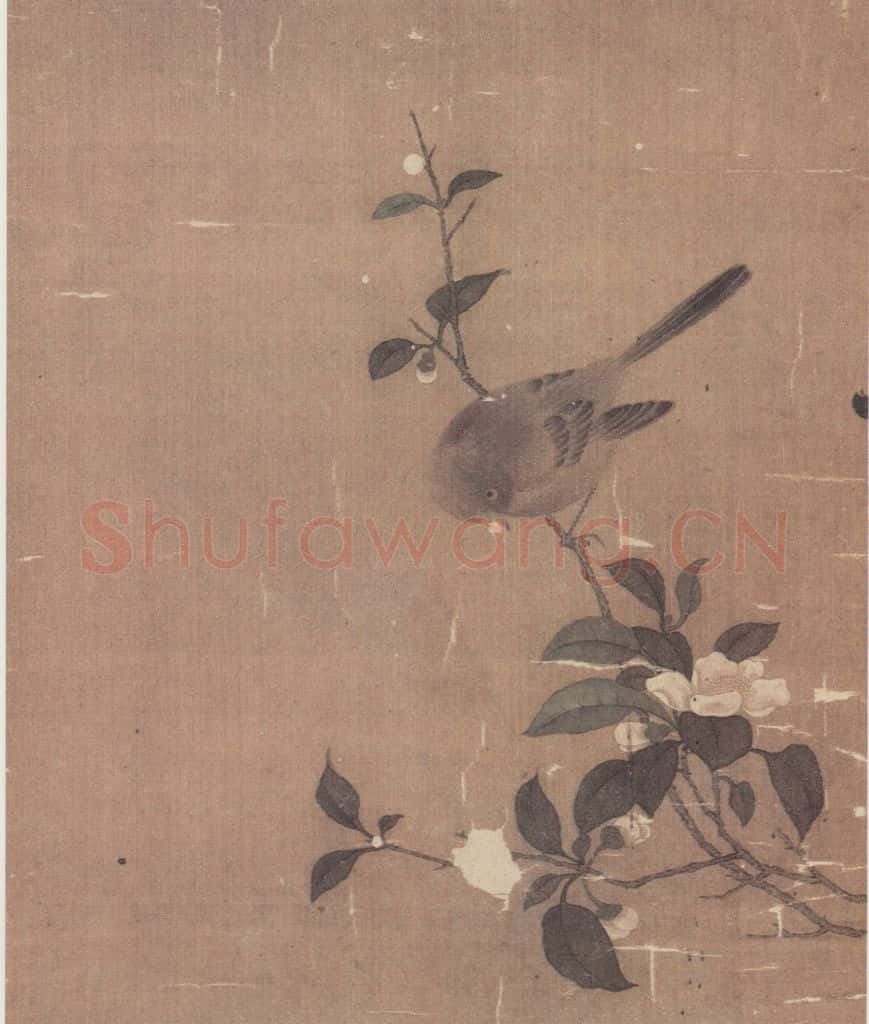宋 无款 花鸟草虫册 书画作品