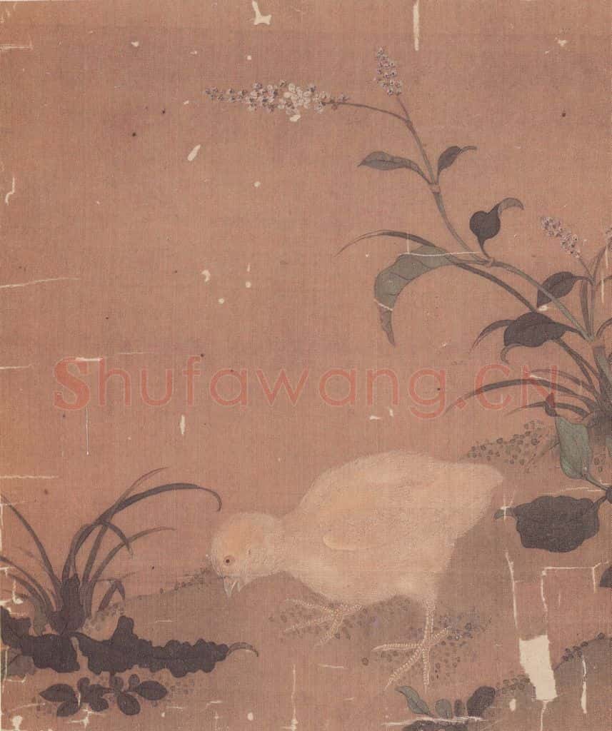 宋 无款 花鸟草虫册 书画作品