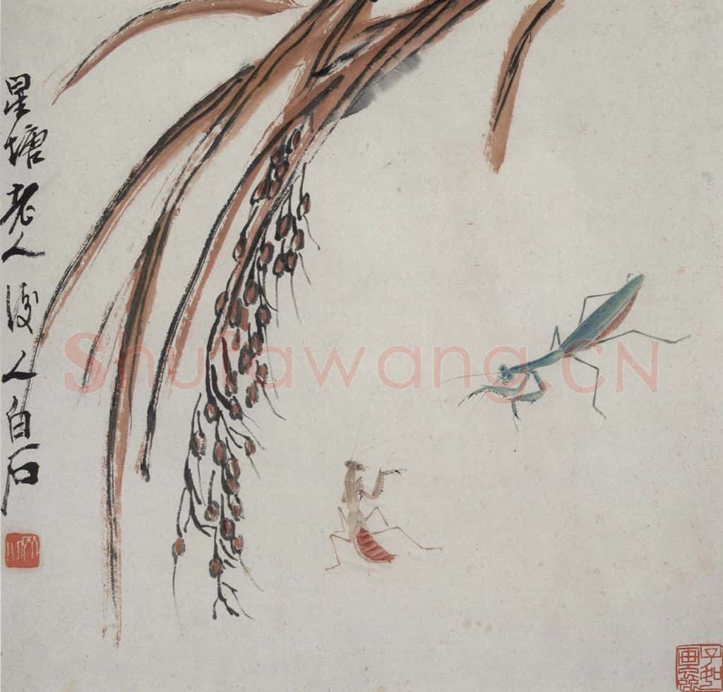 齐白石 虫草杂画册 书画作品
