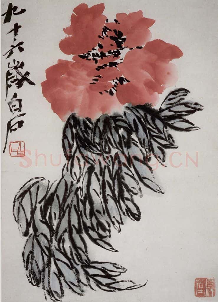 齐白石 牡丹 书画作品