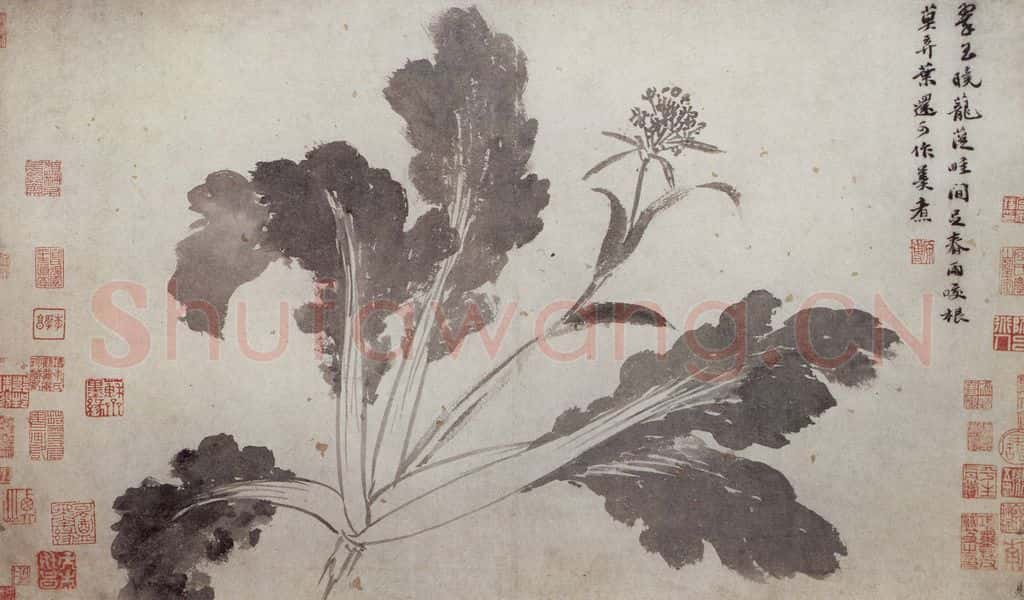 明 沈周《墨菜辛夷图卷》书画作品