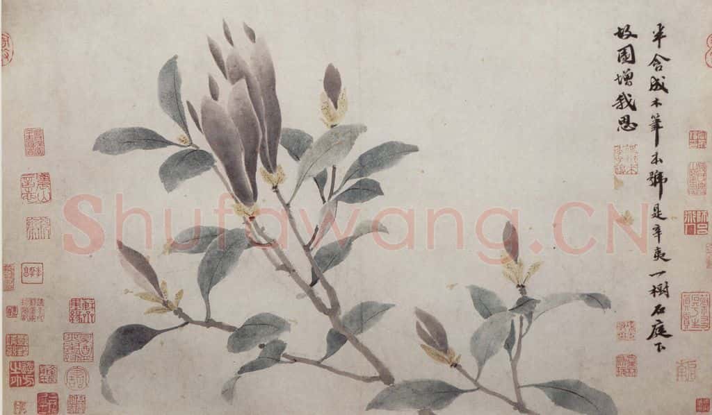 明 沈周《墨菜辛夷图卷》书画作品