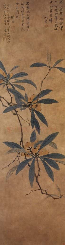 明 沈周《枇杷图轴》书画作品