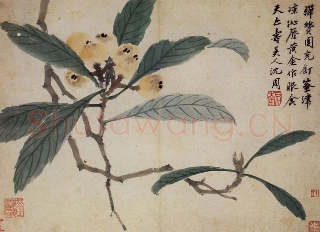 明 沈周《卧游图册》书画作品