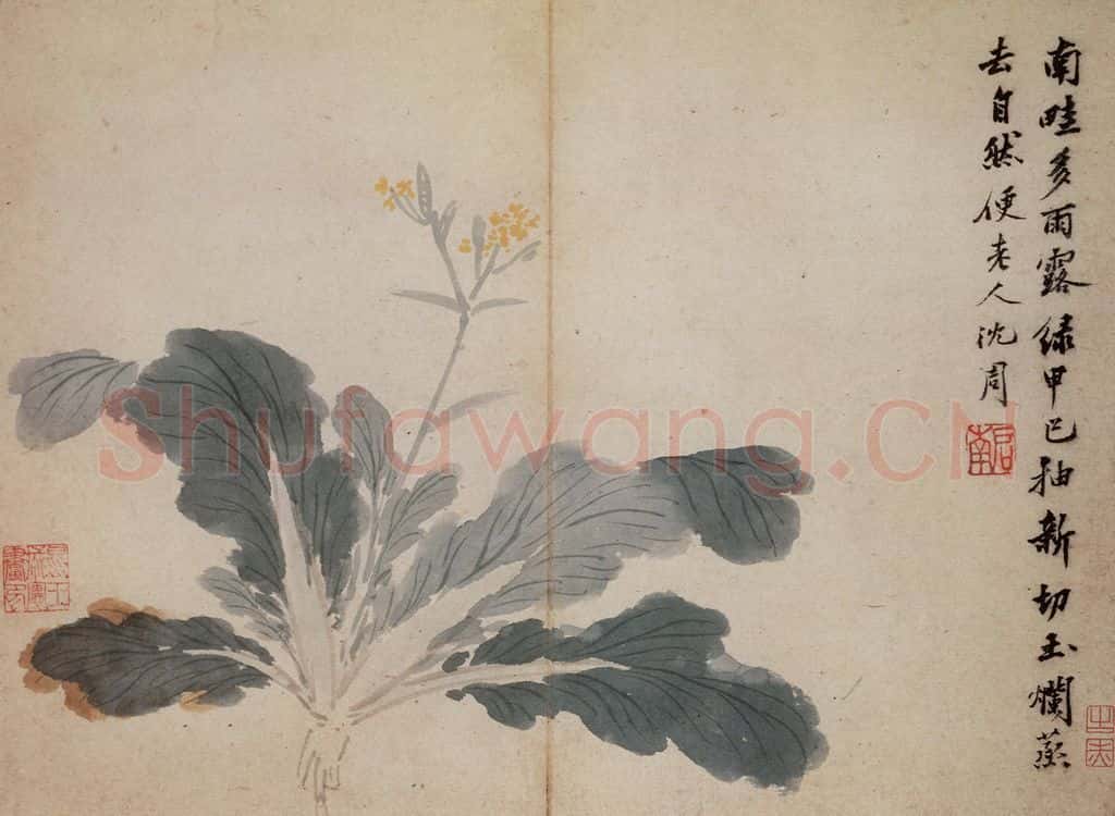 明 沈周《卧游图册》书画作品