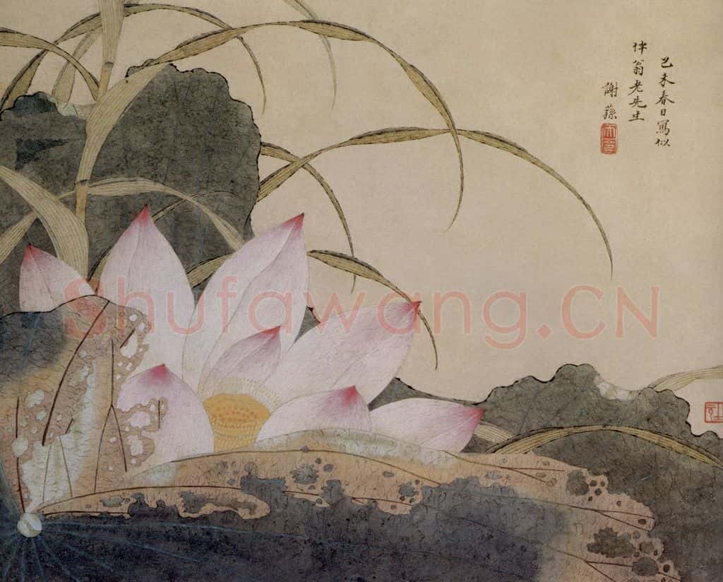 清 謝蓀《荷花图页》书画作品